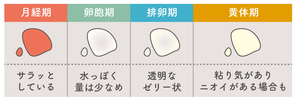 月経周期によるおりものの変化
