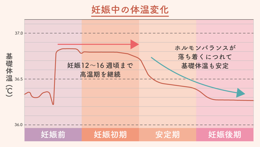妊娠中の体温変化