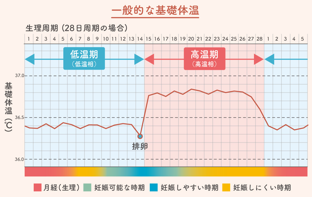 一般的な基礎体温